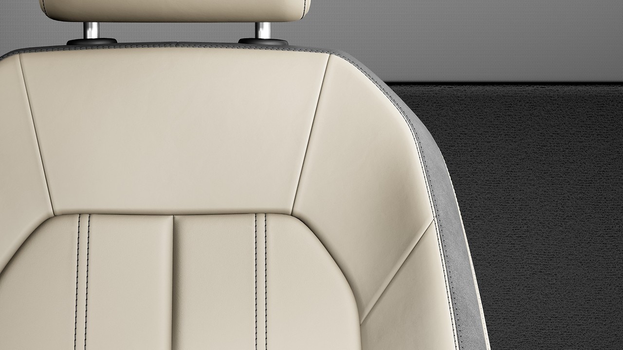 Vehicle interior color