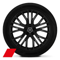 Räder Audi Sport, 10-Y-Speichen, schwarz metallic, 10,0Jx22, Reifen 285/40 R22