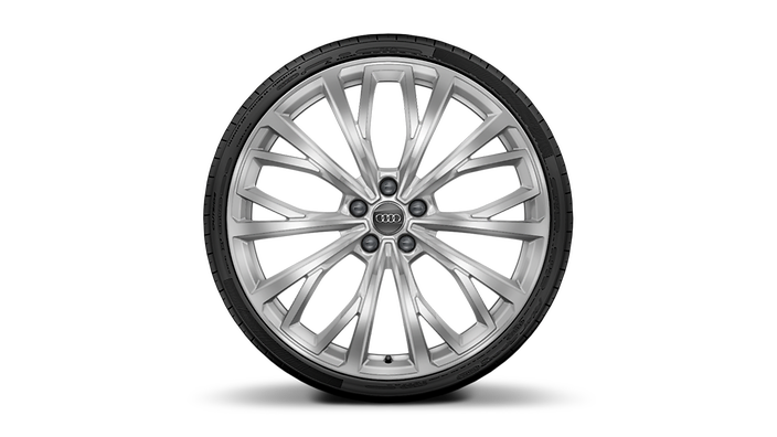 21" 10-Y-spoke design Silver wheels