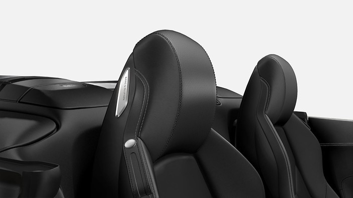 Bang & Olufsen® Sound System
