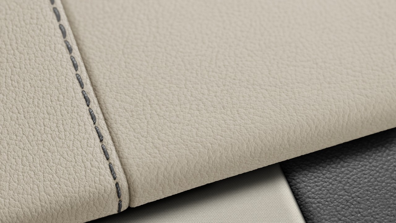 Vehicle interior color