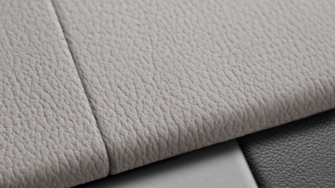 Vehicle interior color