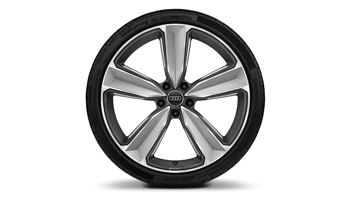 20" 5-arm-peak design Bi-color matte Titanium wheels