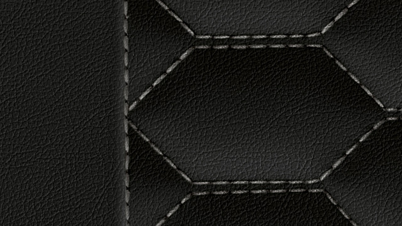 Vehicle interior color