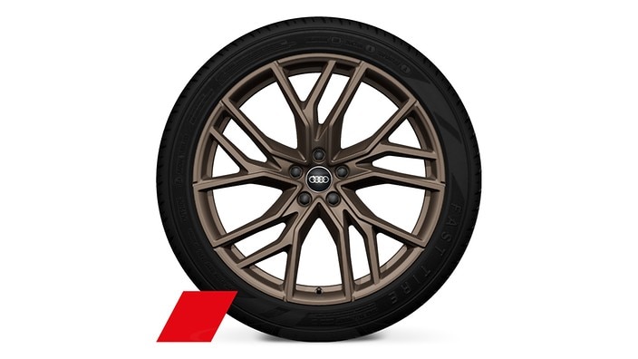 21" 5-W-spoke star design, bronze matte wheels