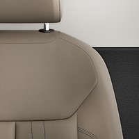 Vehicle interior color
