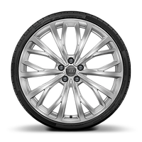 21" multi-spoke design wheels, size 8.5J x 21, with 255/45 performance tires