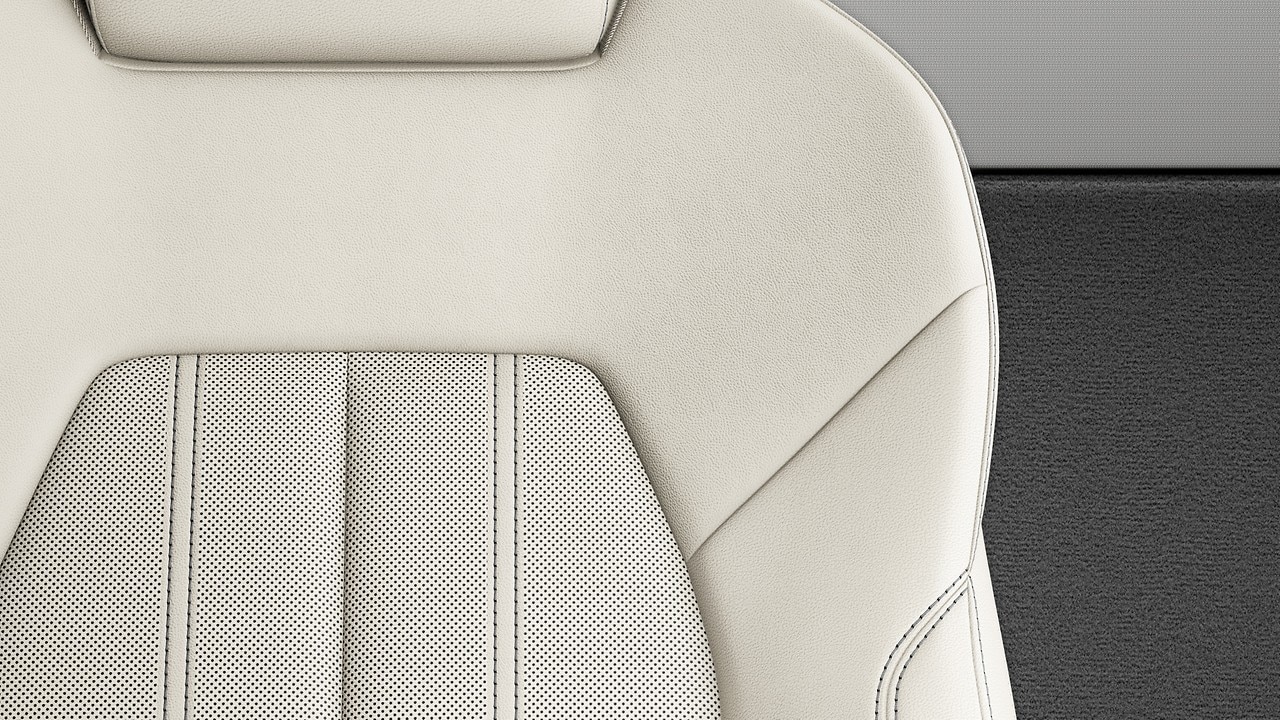 Vehicle interior color