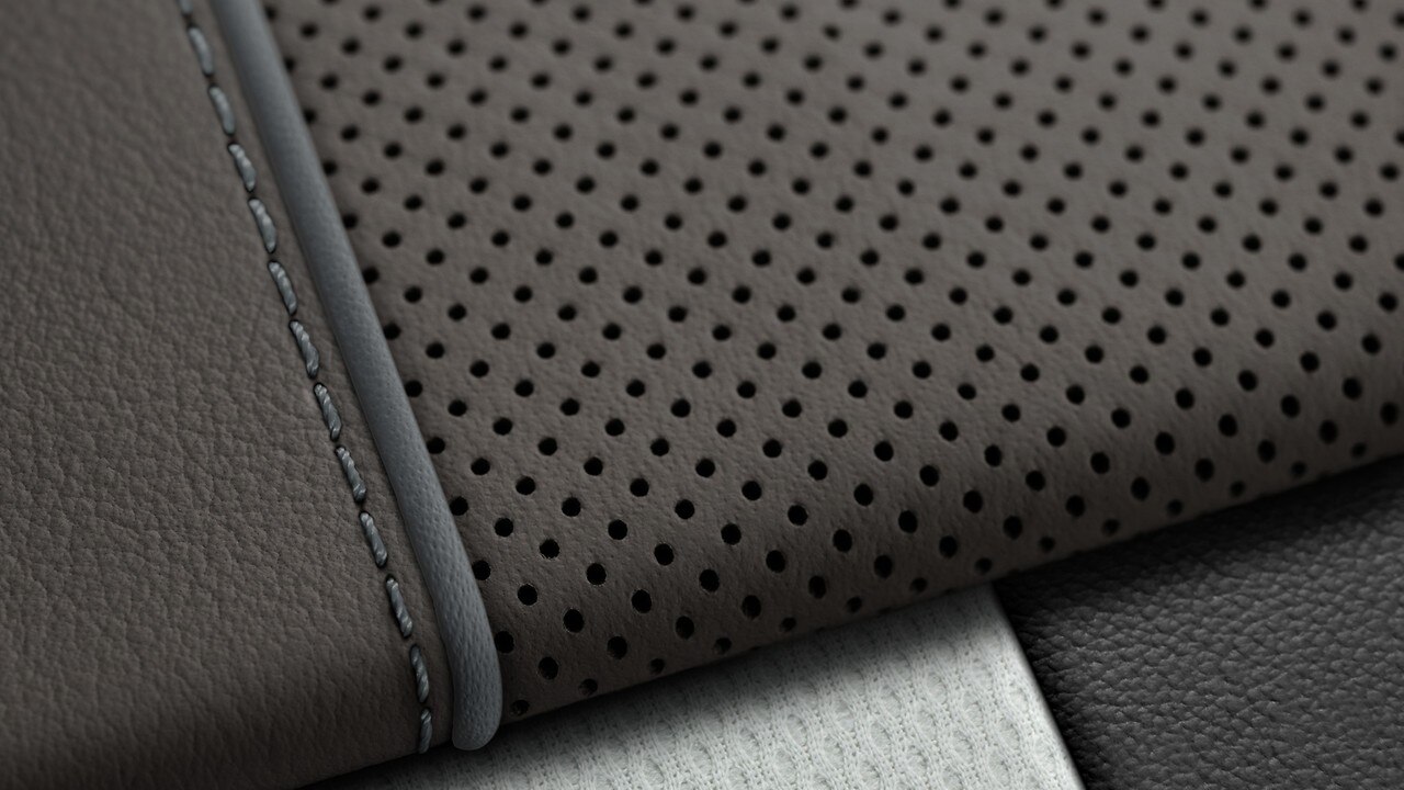 Vehicle interior color