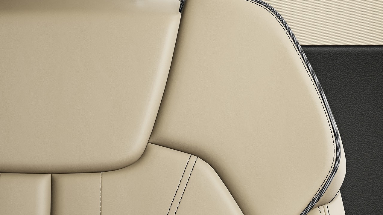 Vehicle interior color