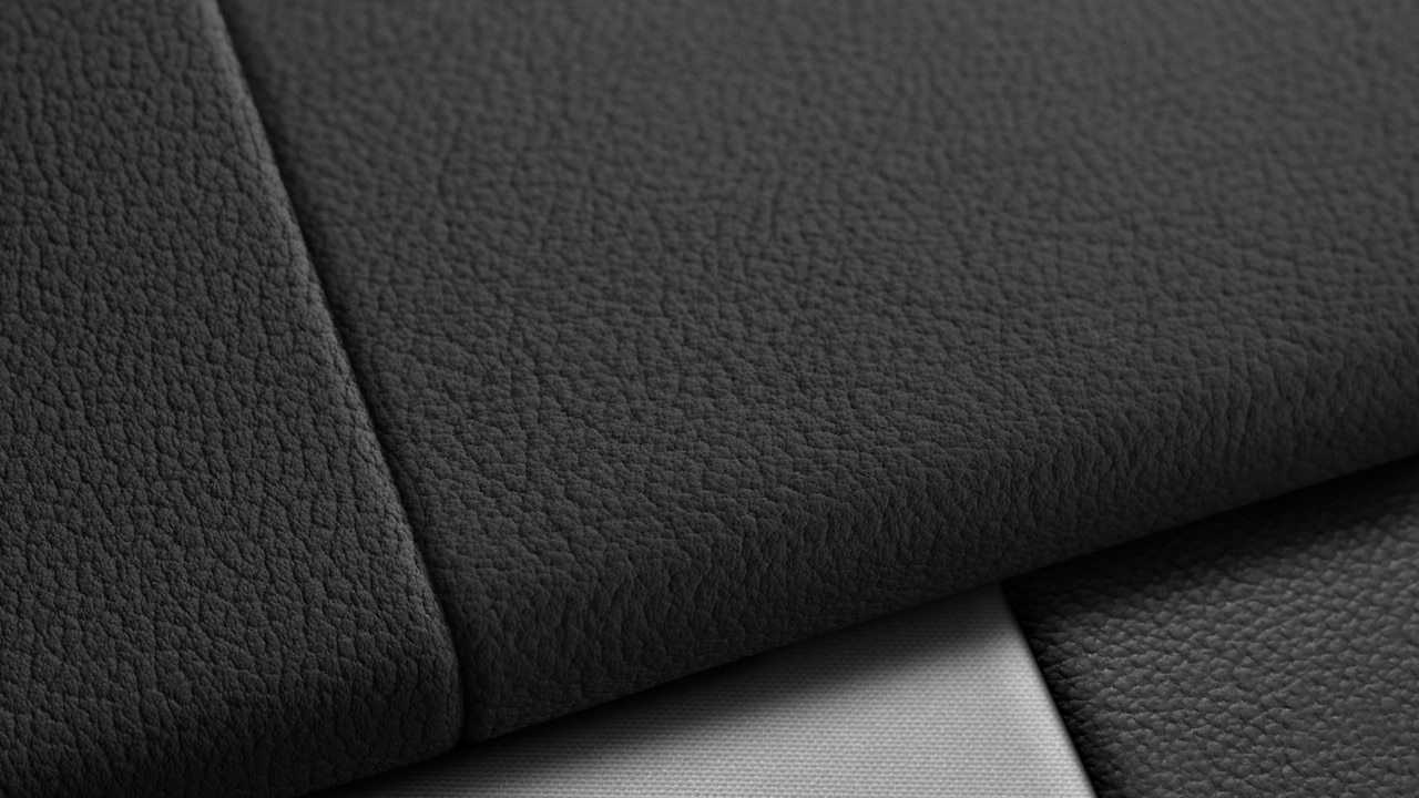 Vehicle interior color