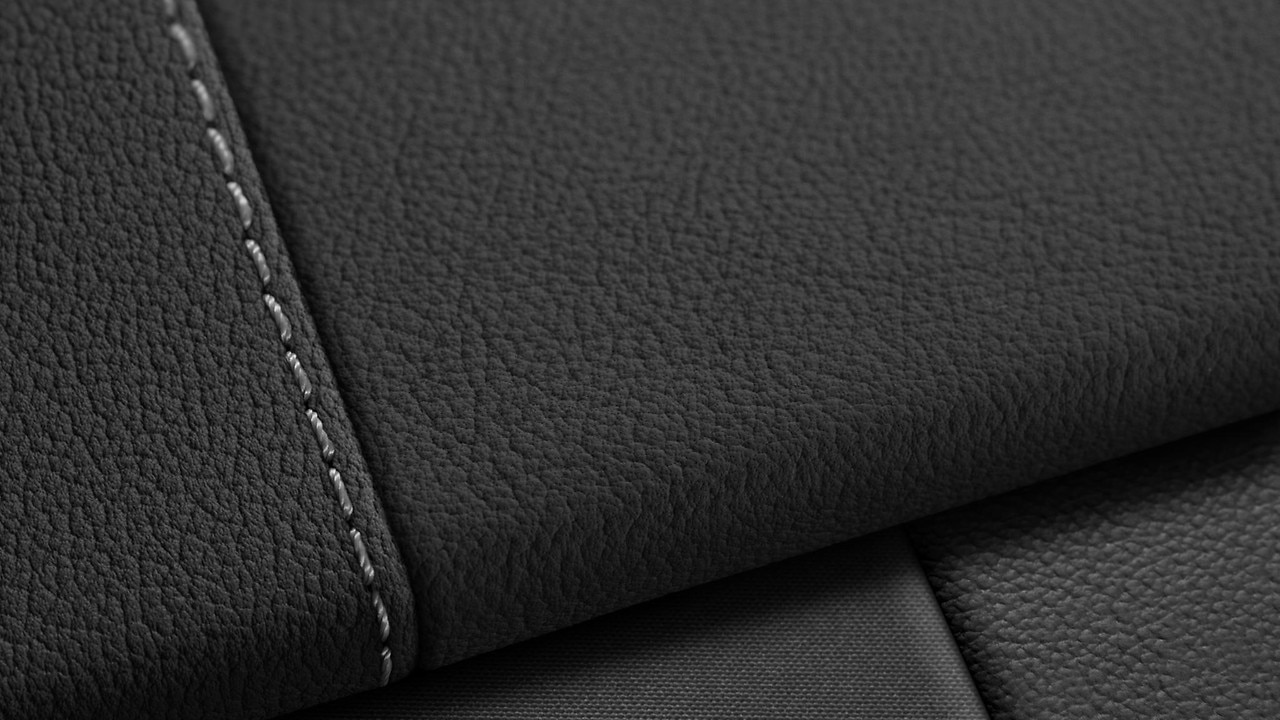 Vehicle interior color