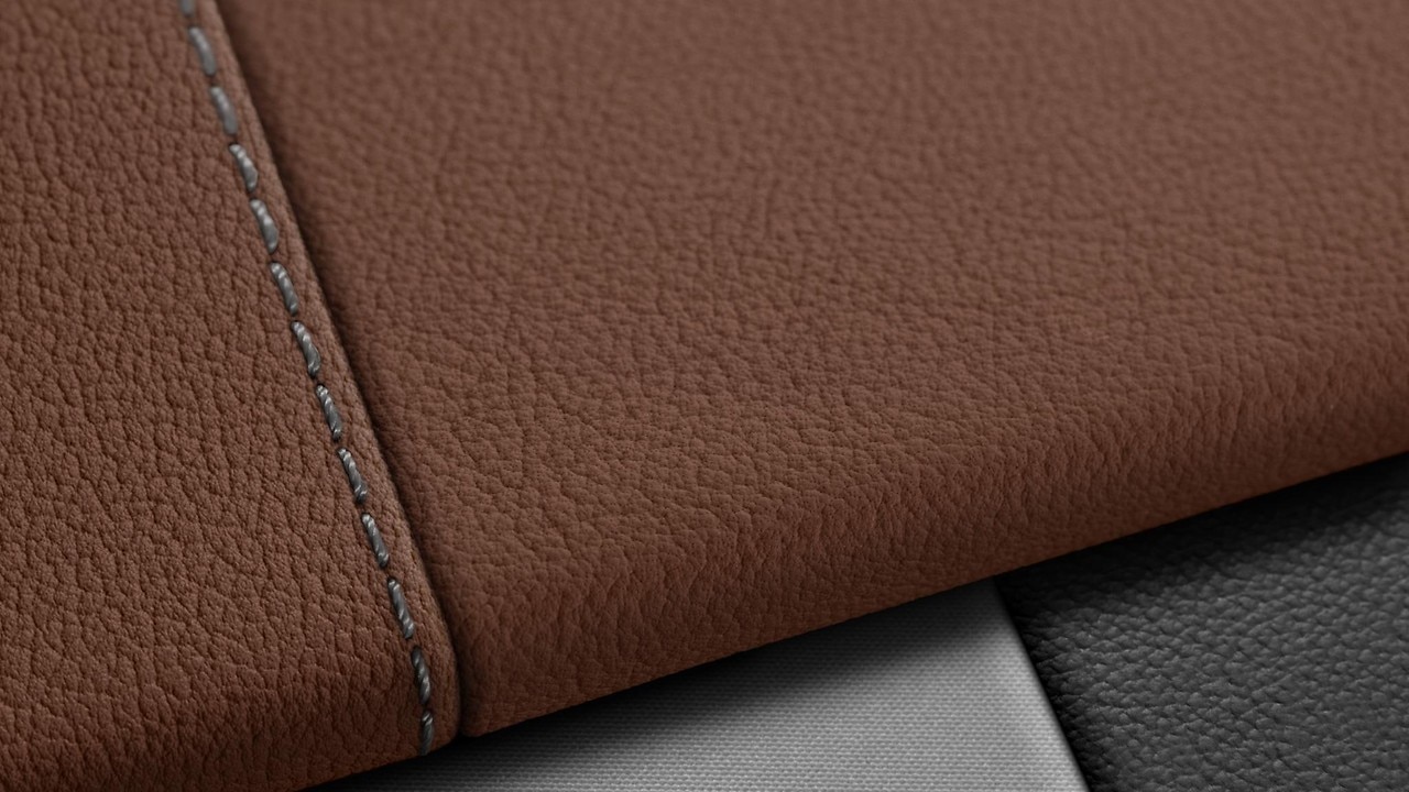 Vehicle interior color