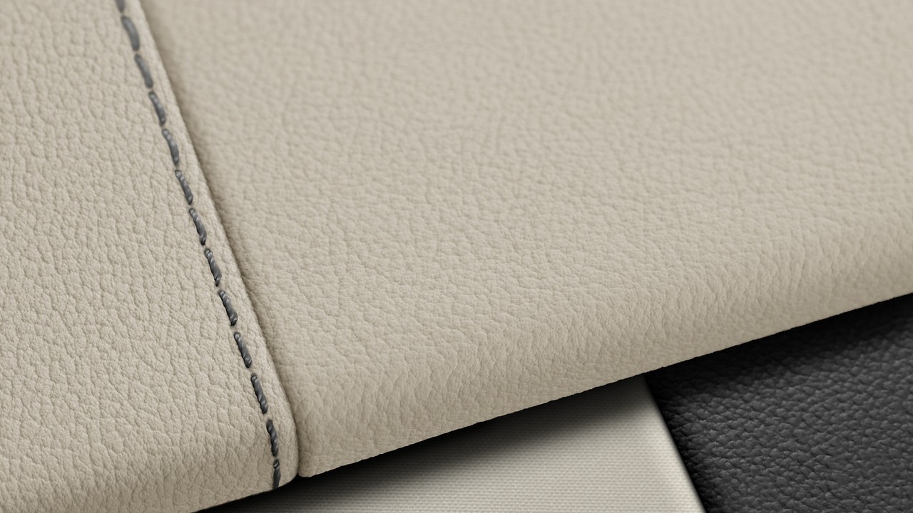 Vehicle interior color