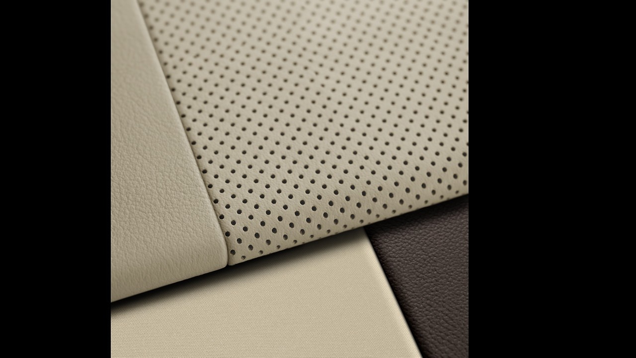 Vehicle interior color