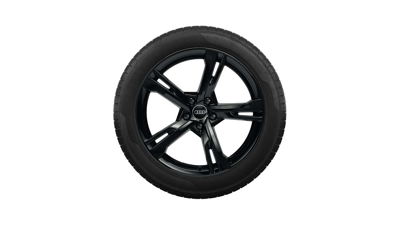 Rad, 5-Arm-Ramus, schwarz, 9,0Jx20, Winterreifen 265/40 R20 104V XL, rechts