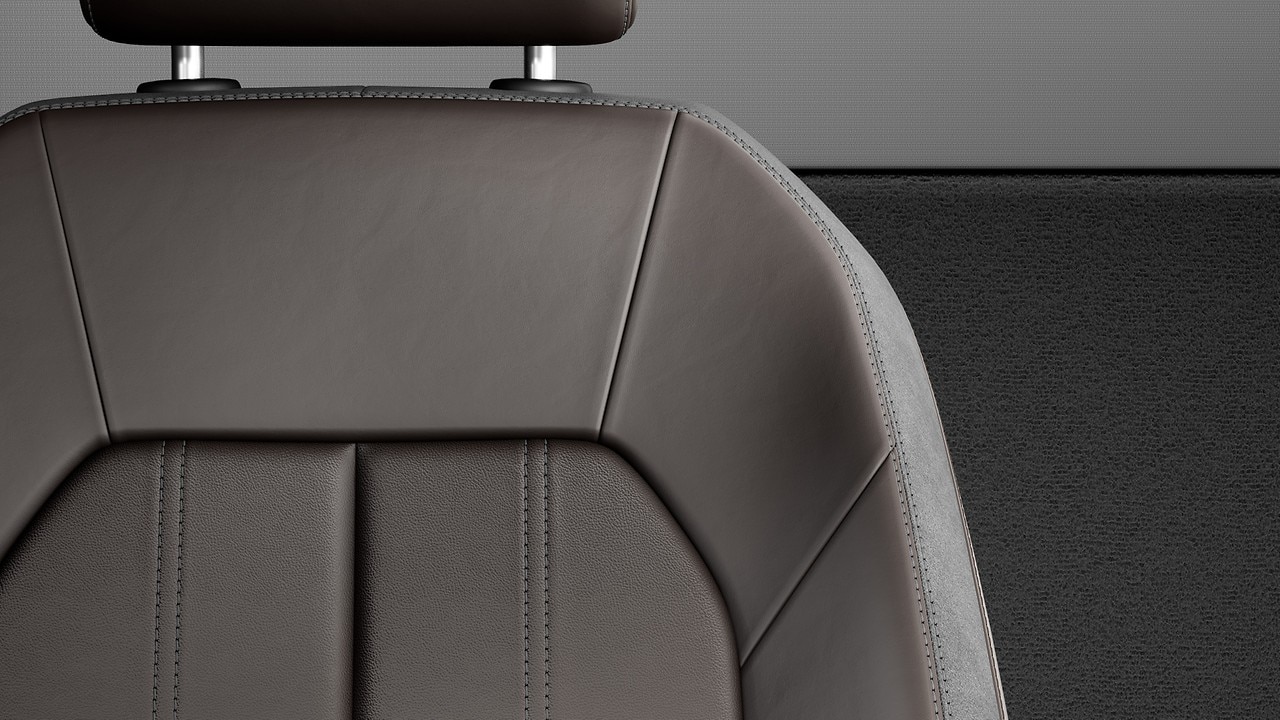 Vehicle interior color