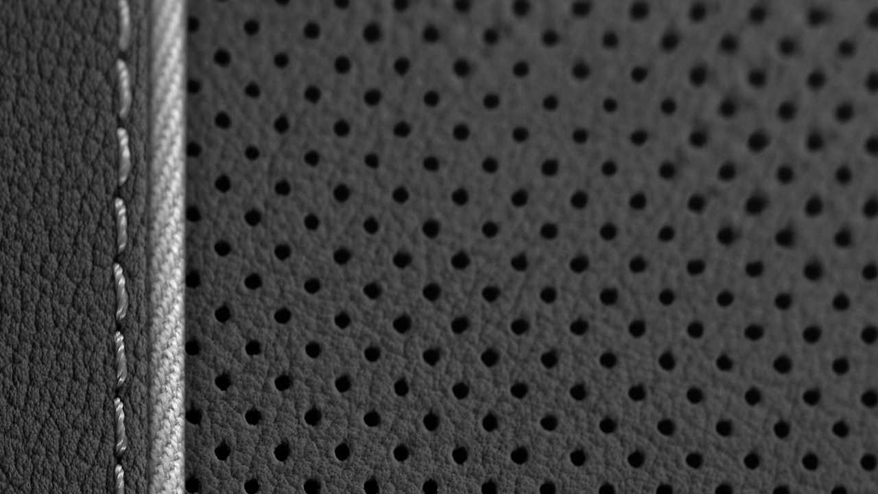 Vehicle interior color