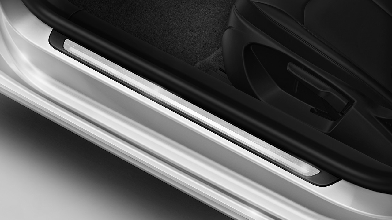 Door sill trims with aluminium inlay