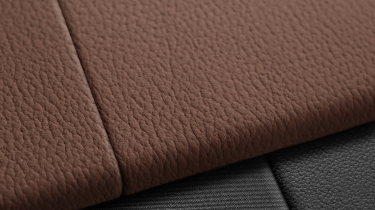 Vehicle interior color