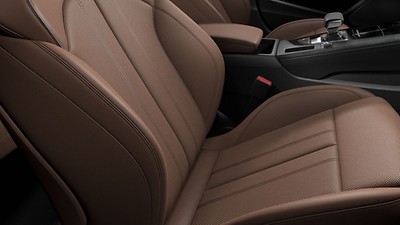 Okapi brown comfort interior package