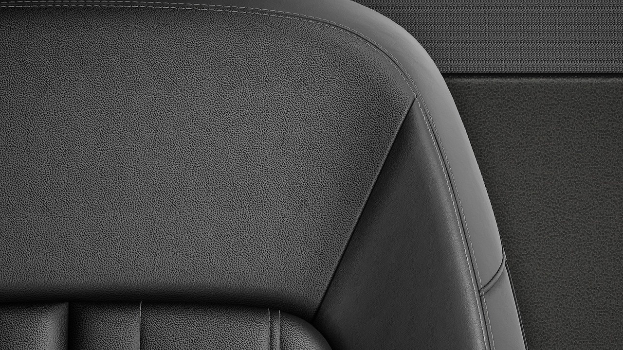 Vehicle interior color