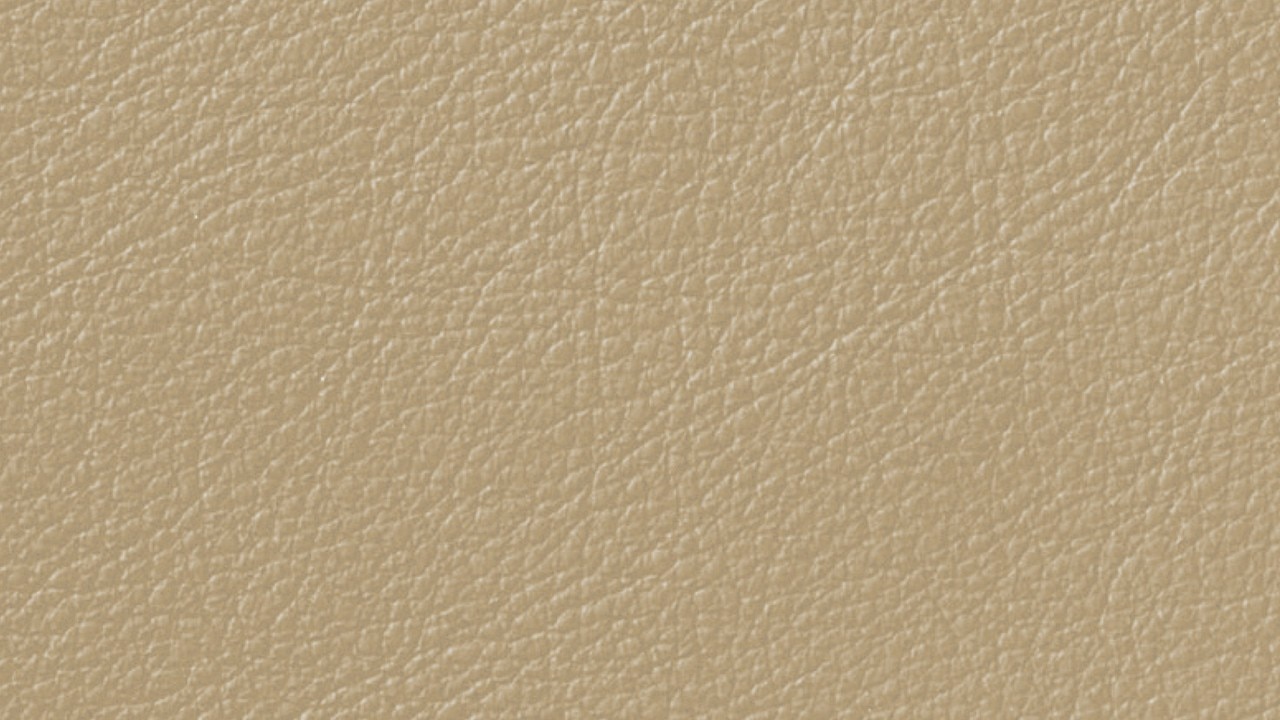 Vehicle interior color