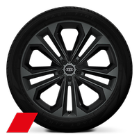 Obręcze kół ze stopu metali lekkich Audi Sport, 9.5Jx21, 5 - ramienne, podwójne ramiona, szare, z jedwabiście czarnym wykończeniem, z oponami 285/40 R21. 3-letnie ubezpieczenie opon w cenie.