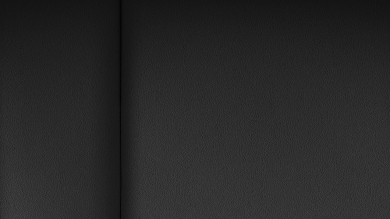 Vehicle interior color