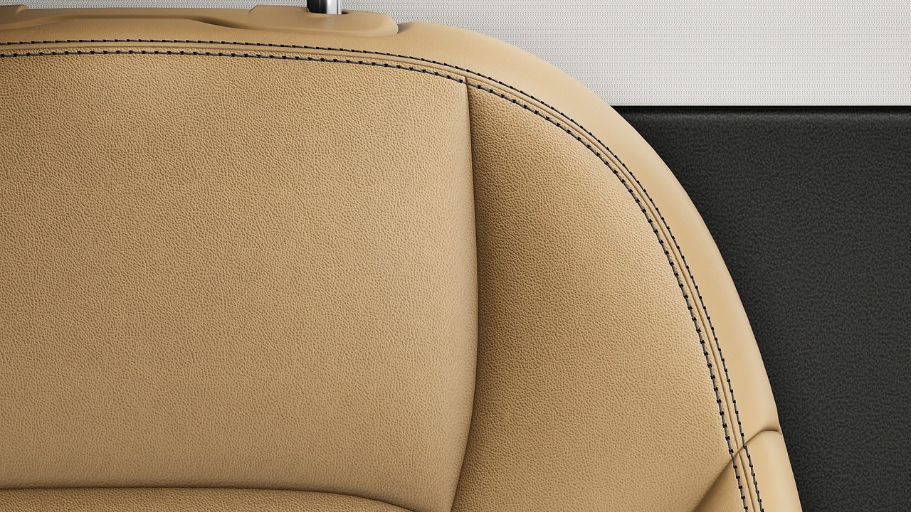 Vehicle interior color