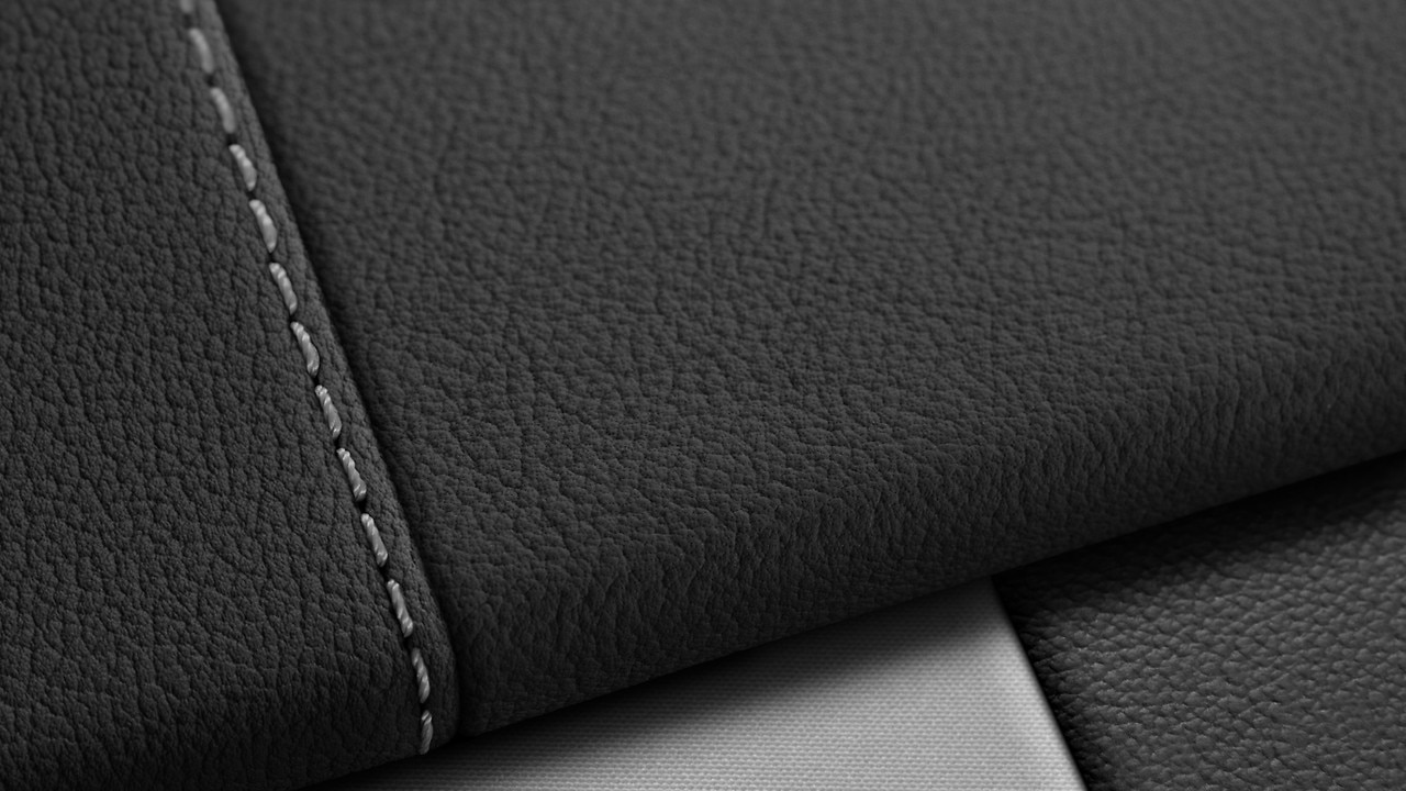 Vehicle interior color