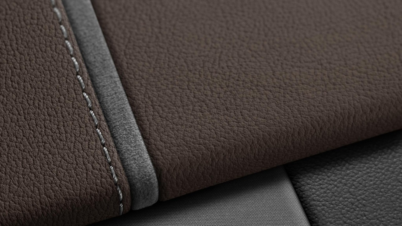 Vehicle interior color