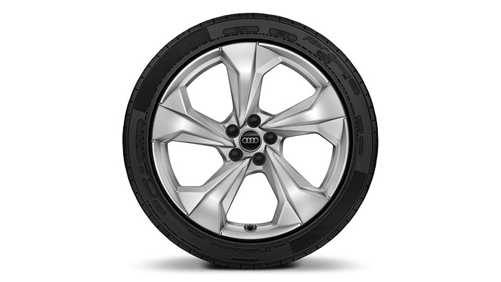 20" 5-arm design silver wheels