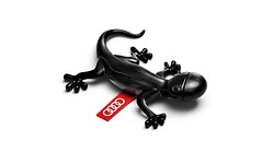 Gecko quattro aromático negro (fragancia especiada)