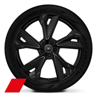 Räder Audi Sport, 5-V-Speichen-Struktur, schwarz 8,5 J x 21, Reifen 255/35 R 21