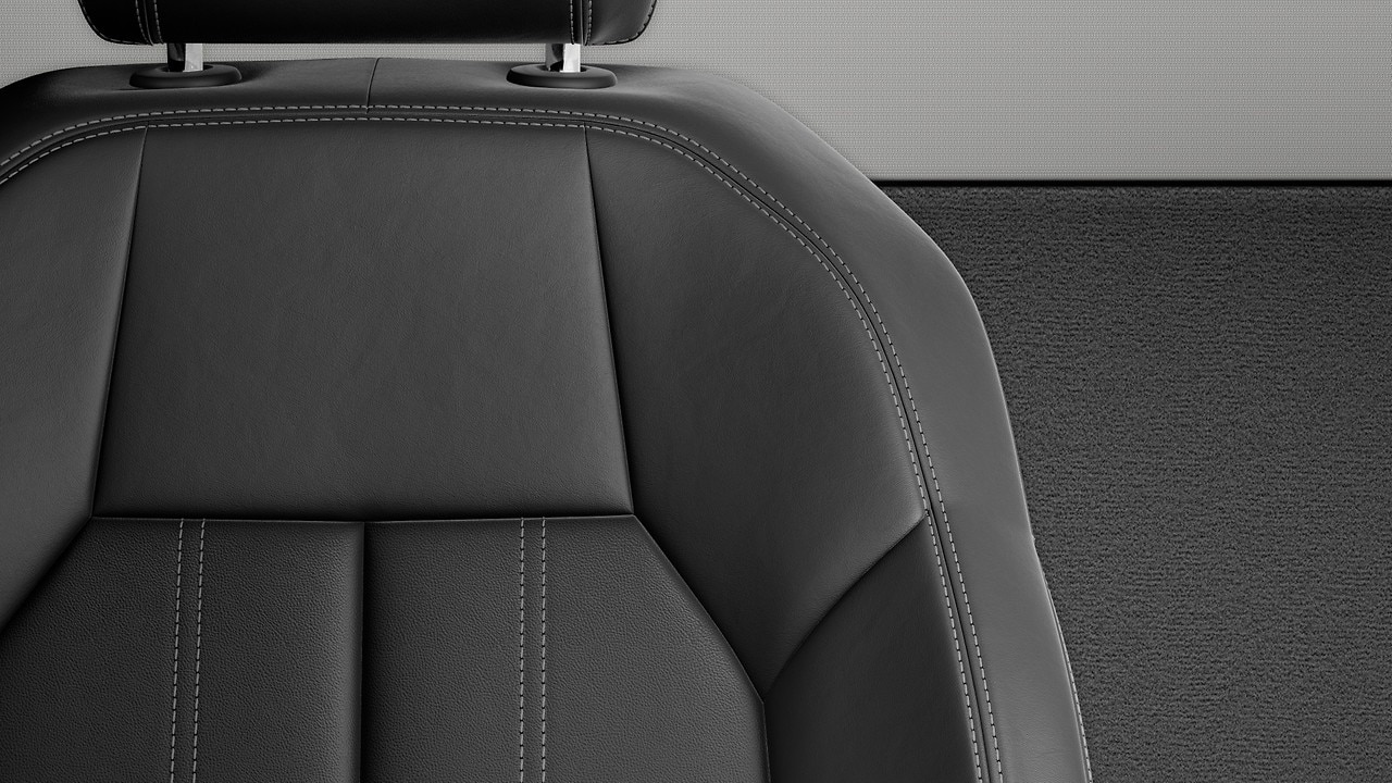 Vehicle interior color