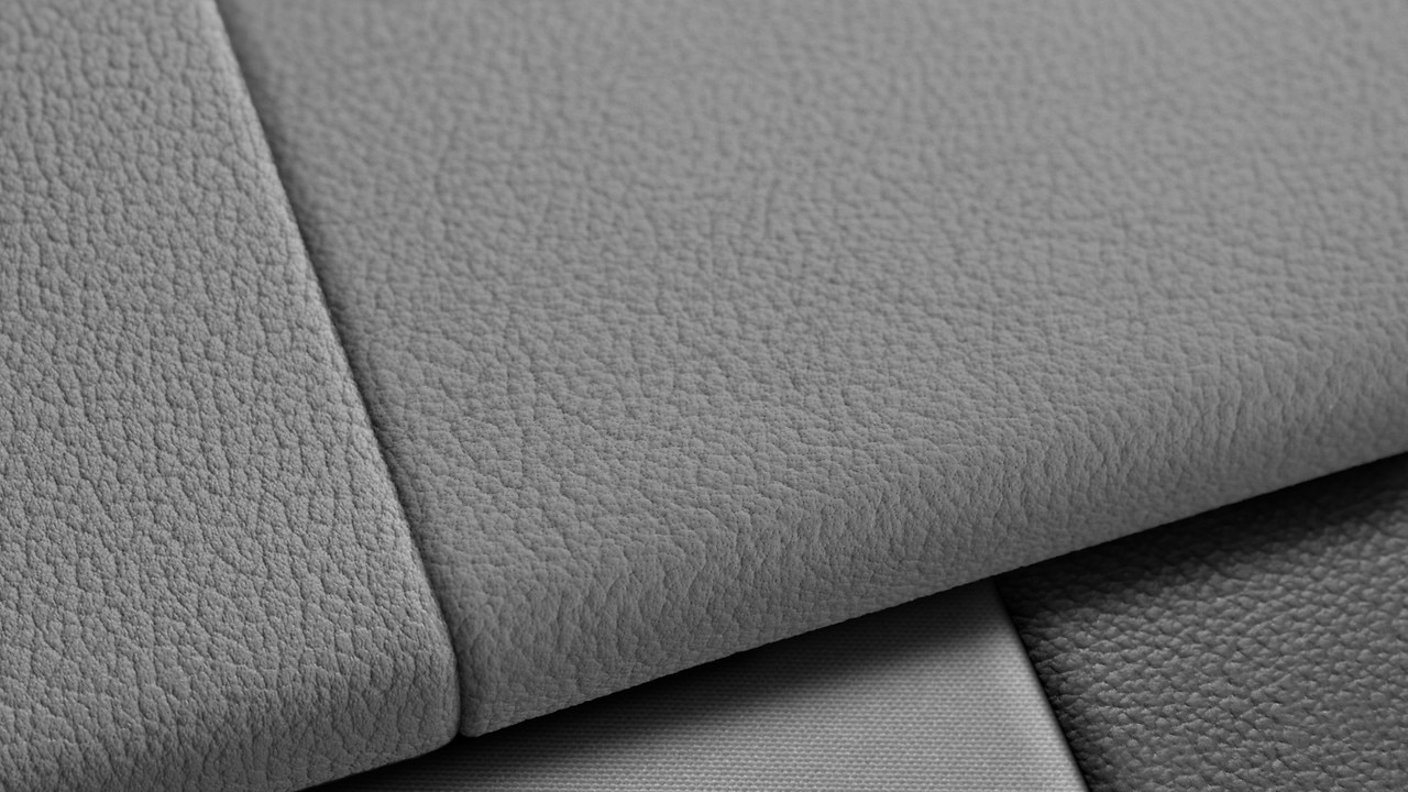 Vehicle interior color