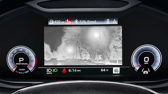 Night vision assistant with large animal and pedestrian detection