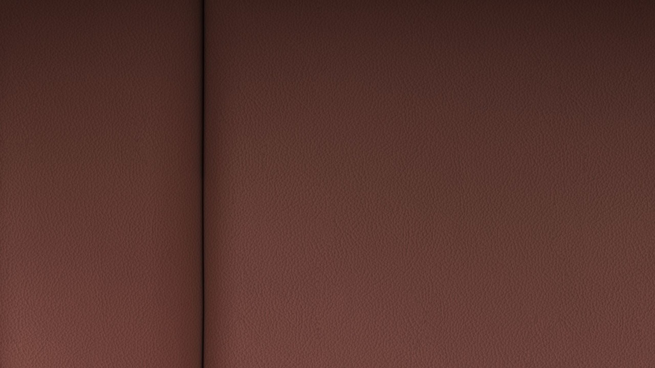 Vehicle interior color