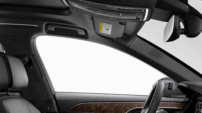 Black cloth headliner