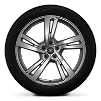 Wheels, 5-double-spoke style, Platinum