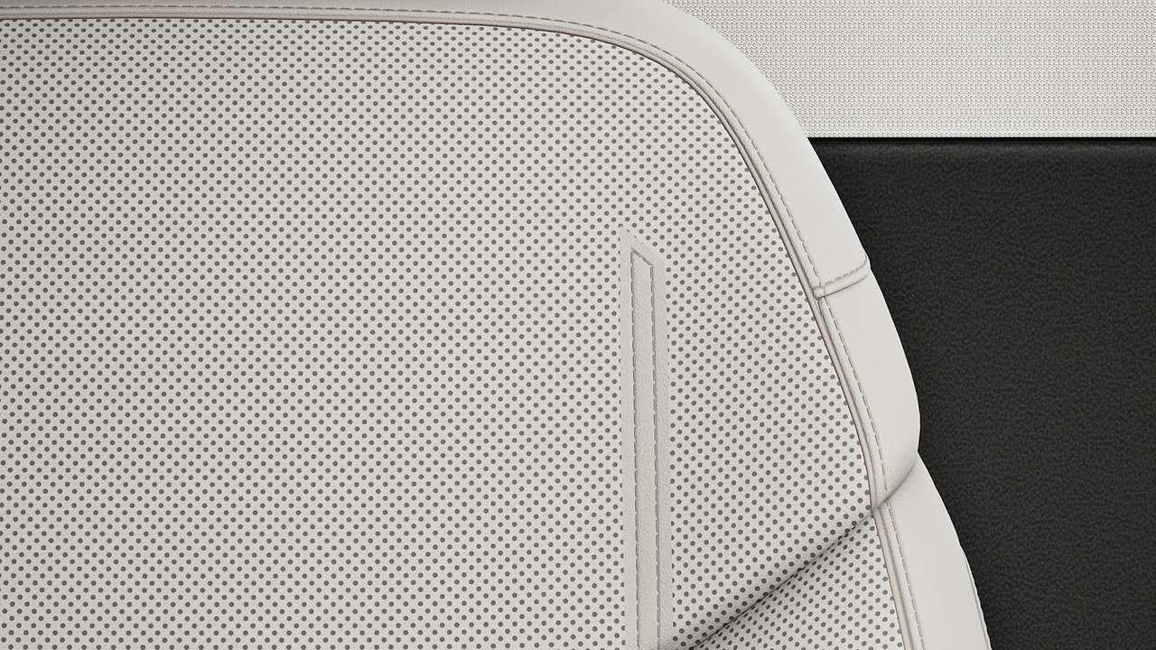 Vehicle interior color