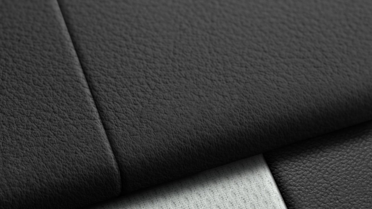 Vehicle interior color