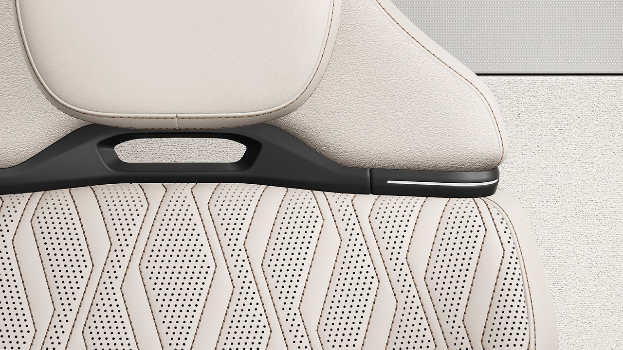Vehicle interior color