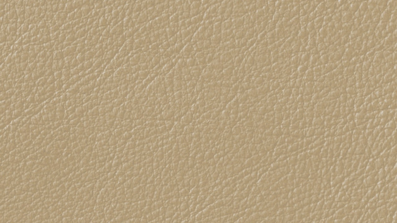 Vehicle interior color