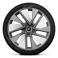 21" 5-twin spoke design, bi-color gray wheels