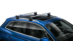 Carrier unit, for vehicles with roof rails