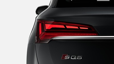 LED rear combination lamps with dynamic  light design and dynamic turn signal   