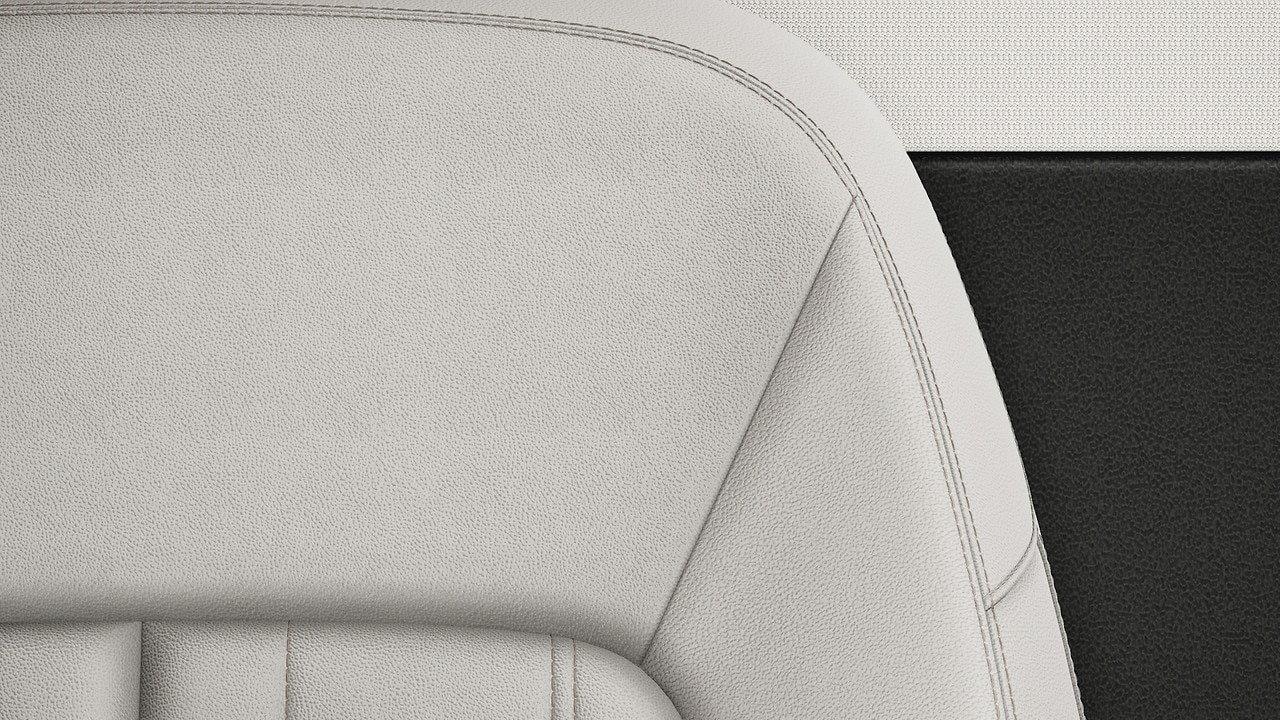 Vehicle interior color