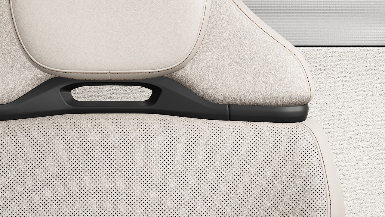 Vehicle interior color